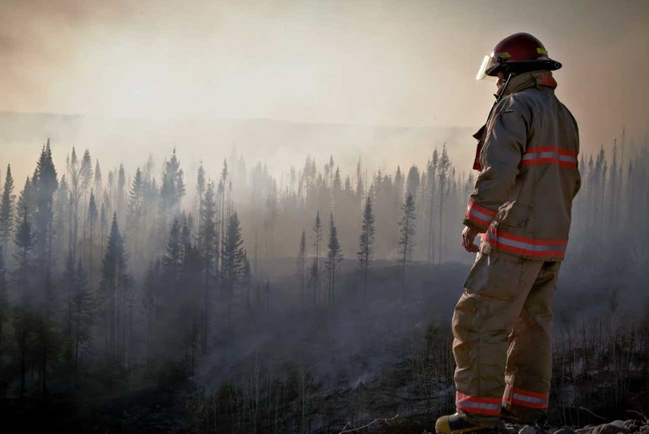 Protejamos nuestros bosques: Prevención de incendios forestales