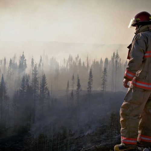 Protejamos nuestros bosques: Prevención de incendios forestales